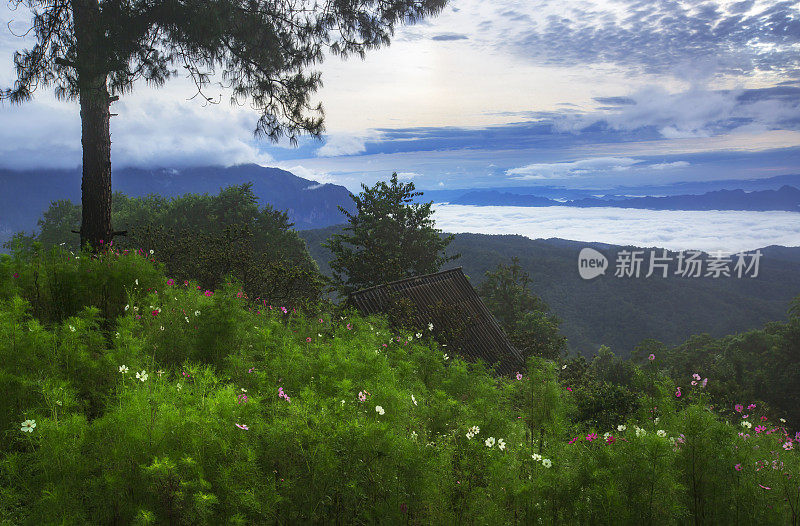 泰国清迈的Doi Chiang Dao，日出时美丽的风景